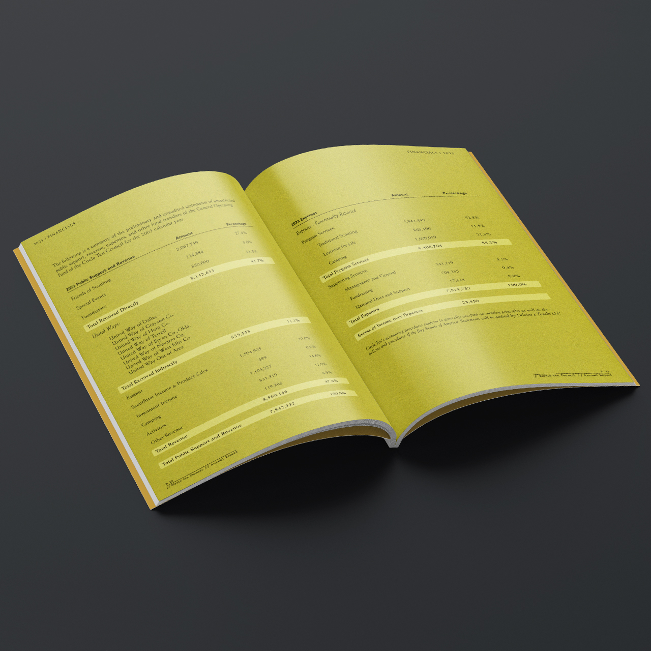 Boy Scout annual report design