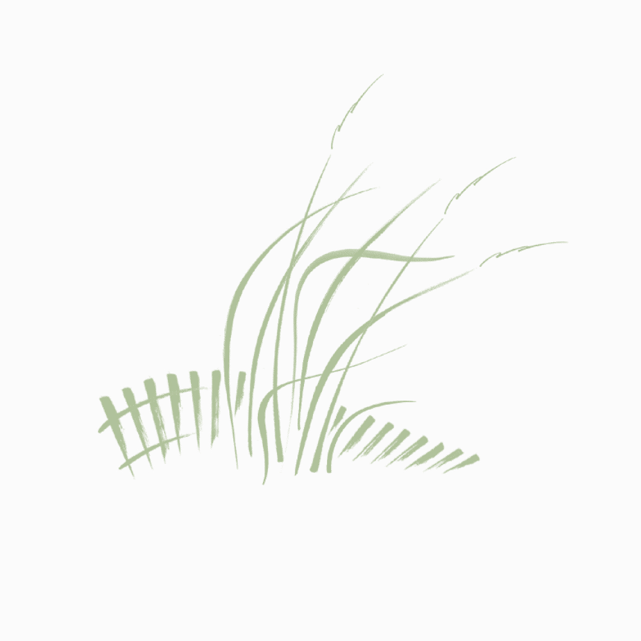 Logo design for The Beach House at Water Color Resort, Florida