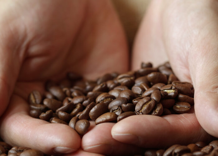 An image of hands holding coffee beans