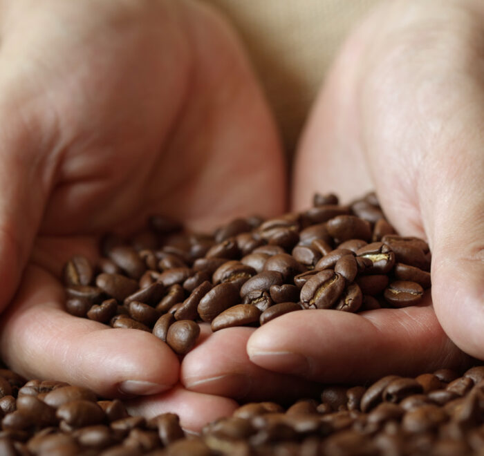 An image of hands holding coffee beans