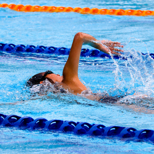 An image of a person swimming laps in a swimming pool