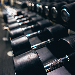 An image of a rack of dumbbell weights