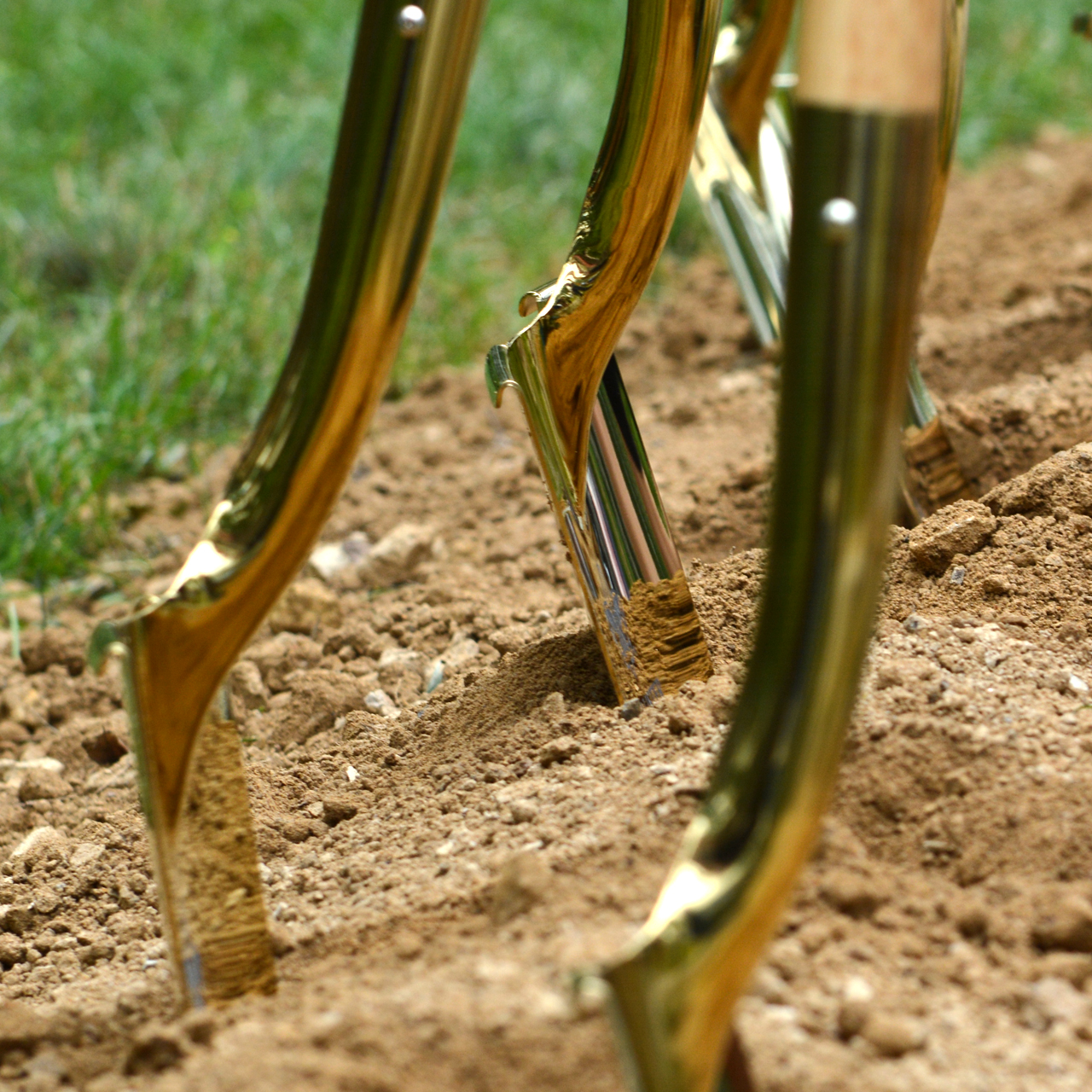 Image of gold shovels in soil